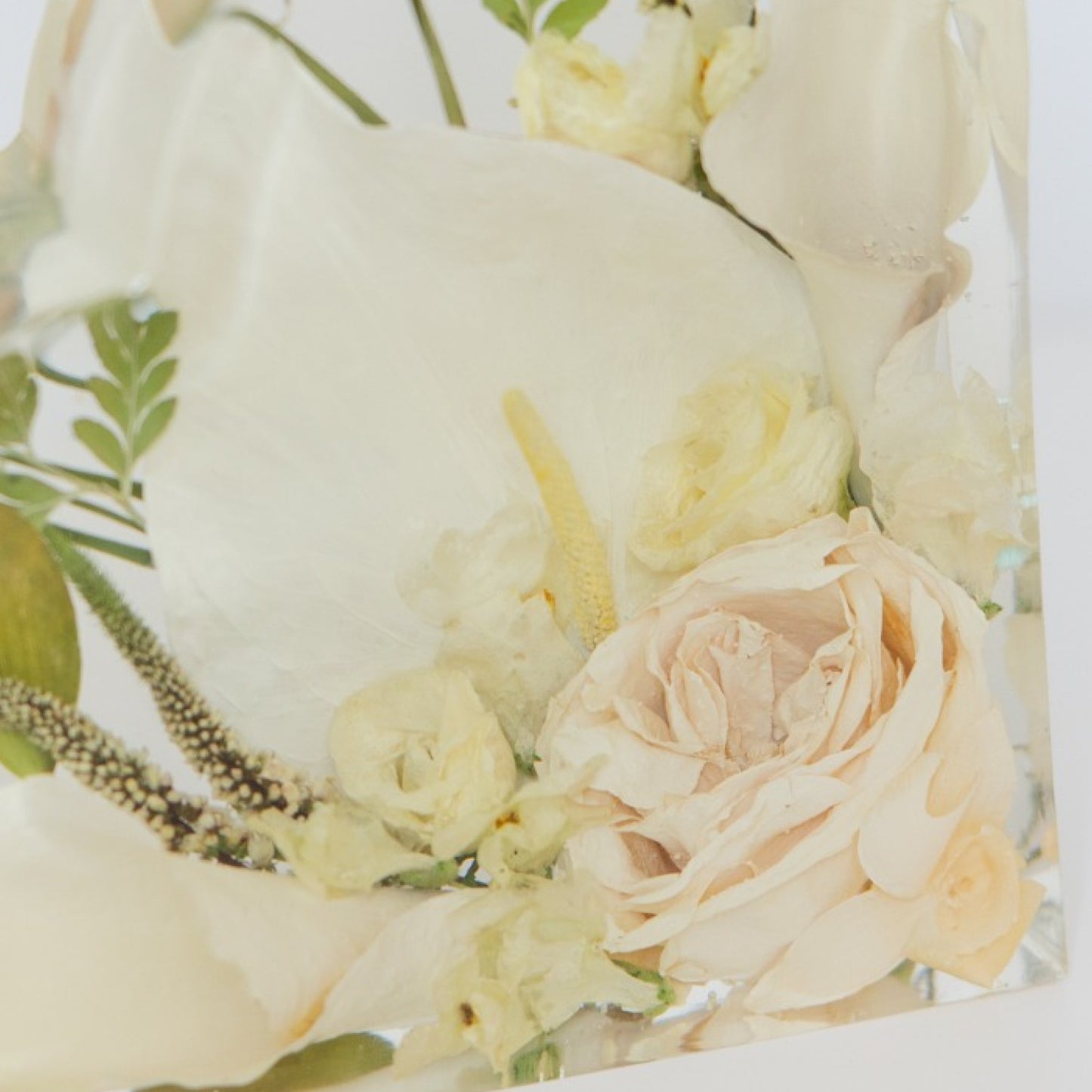 PetalsByPinto Heart Shape
