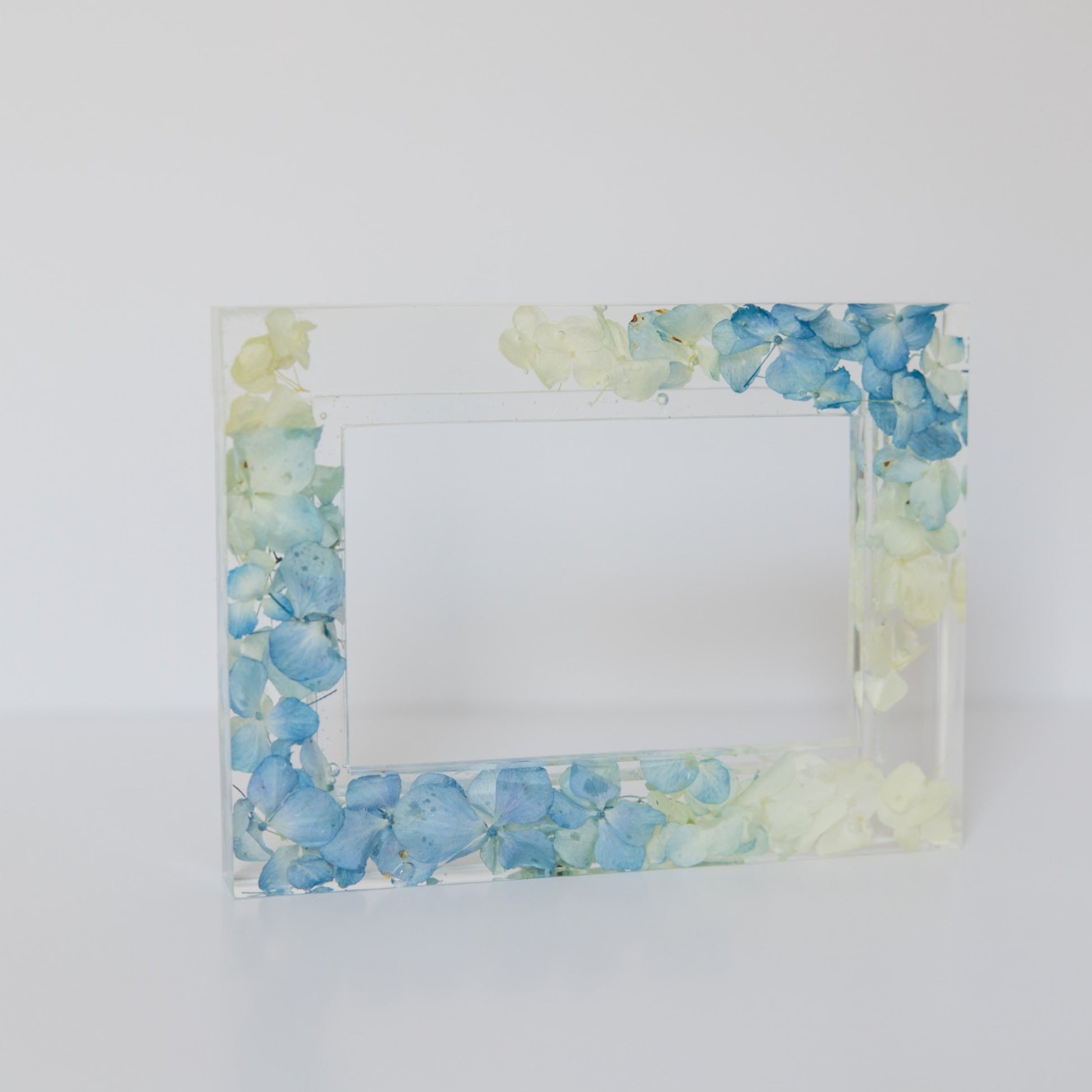 PetalsByPinto Picture Frame